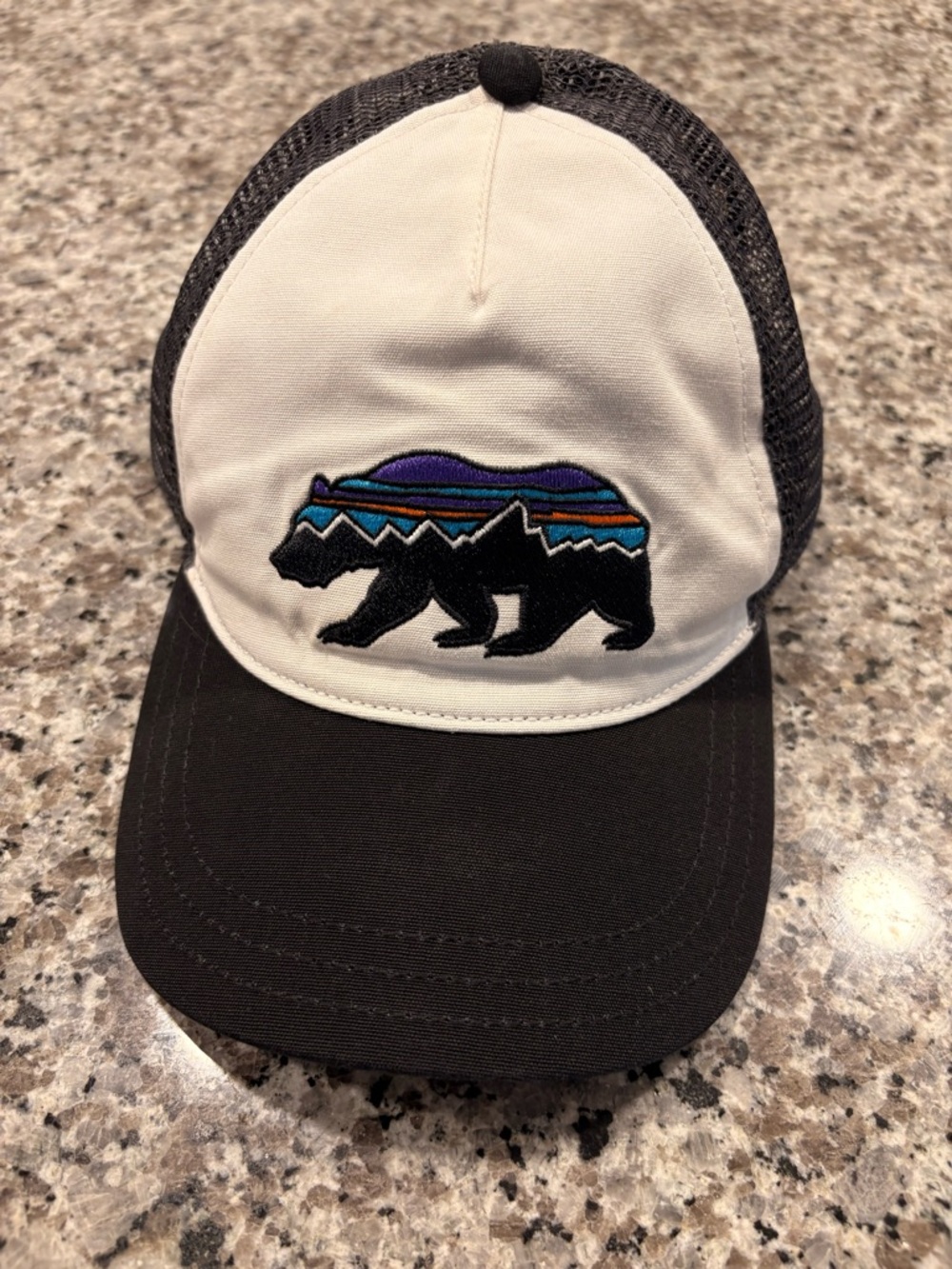 Patagonia Trucker Hat